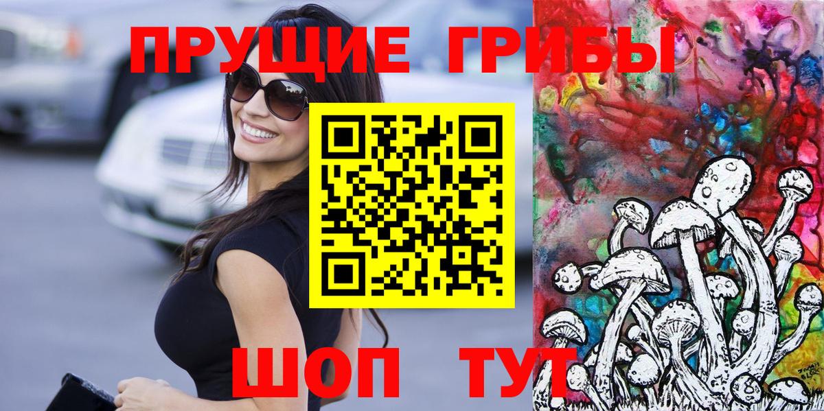 Ярославль  Псилоцибиновые грибы Psilocybine cubensis  Вход с VPN 